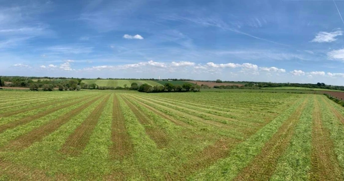 champsimagearpentage